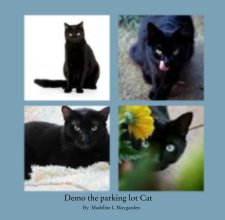 Demo the parking lot Cat book cover