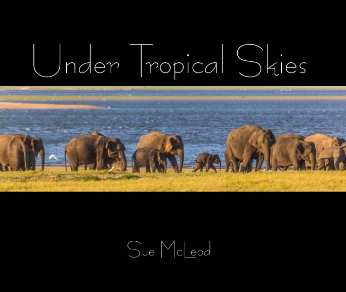 View Under Tropical Skies by Sue McLeod