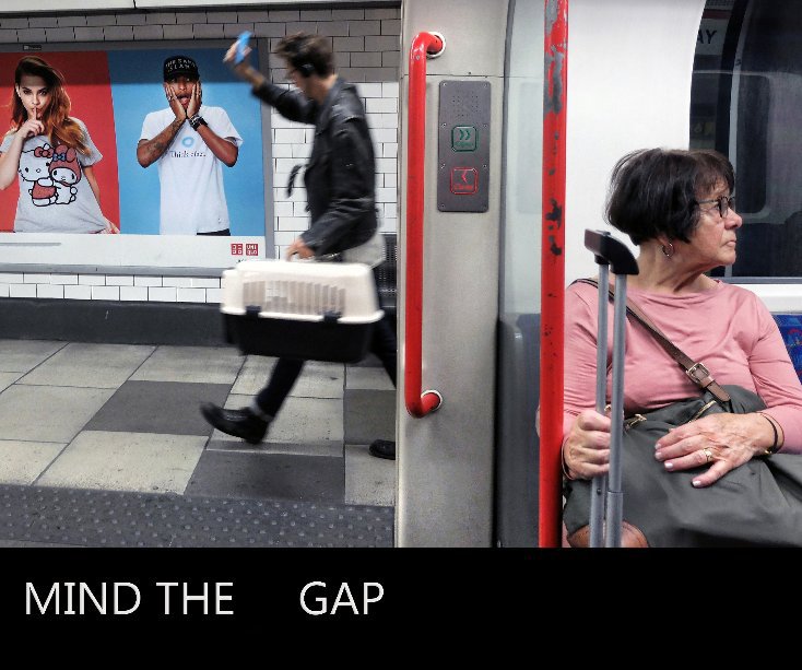 View Mind the Gap by Alan Brown