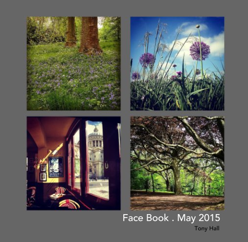 View Face Book . May 2015 by Tony Hall