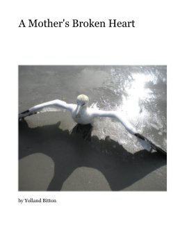 A Mother's Broken Heart book cover