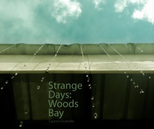 Strange Days: Woods Bay book cover
