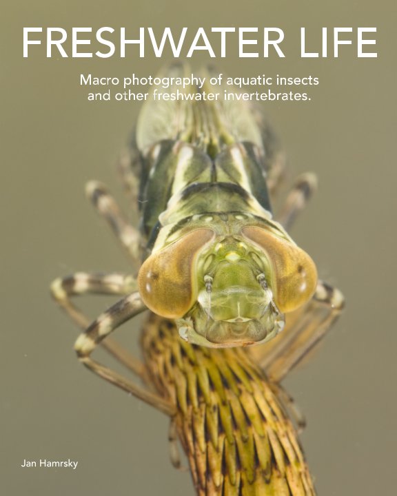 View FRESHWATER LIFE by Jan Hamrsky