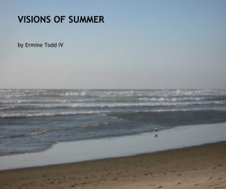 VISIONS OF SUMMER book cover