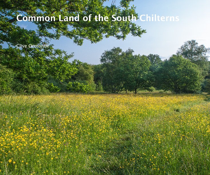 View Common Land of the South Chilterns by Clive Ormonde