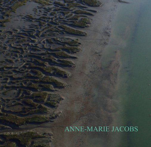 View Essex Salt Marsh by ANNE-MARIE JACOBS