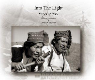 Into The Light book cover
