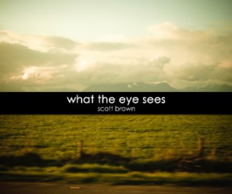 what the eye sees book cover