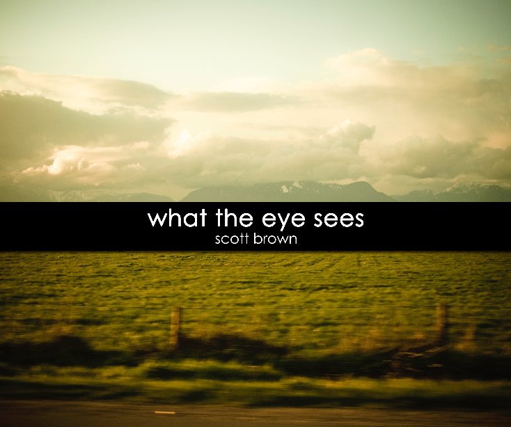 View what the eye sees by scott brown