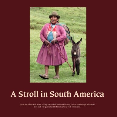 A Stroll in South America book cover
