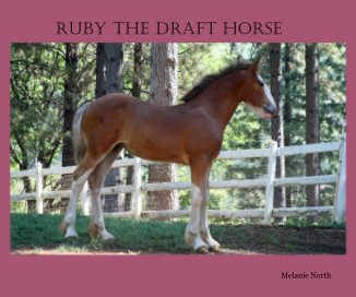 Ruby the Draft Horse book cover