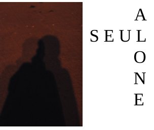 Alone - Seul book cover