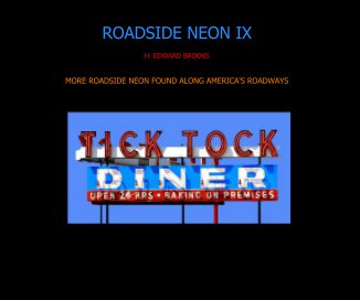 ROADSIDE NEON IX book cover
