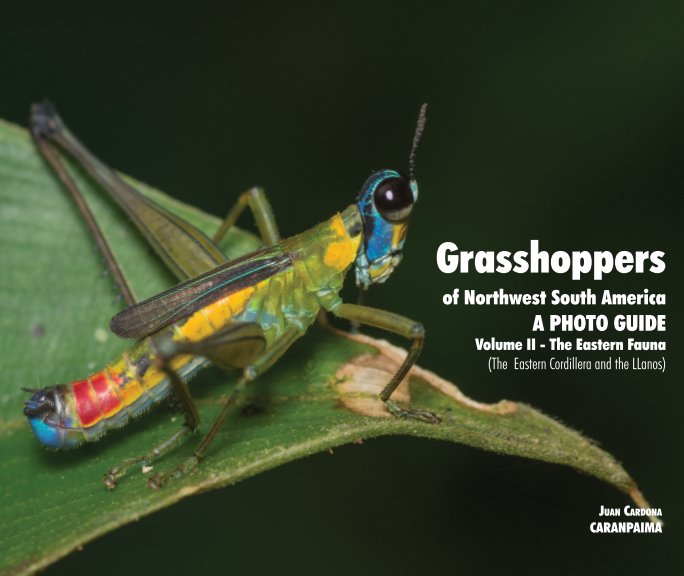 Visualizza Grasshoppers of Northwest South America 2 di Juan Manuel Cardona