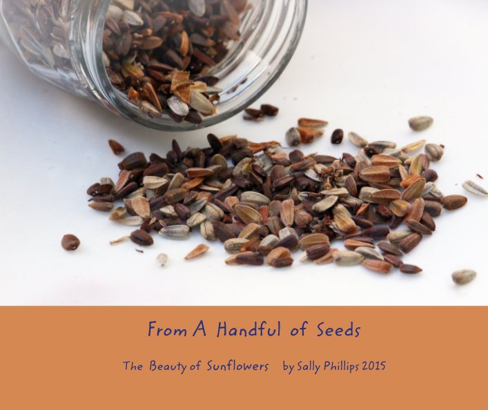 Ver From A  Handful  of  Seeds por The  Beauty of  Sunflowers     by Sally Phillips 2015