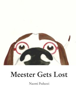 Meester Gets Lost book cover