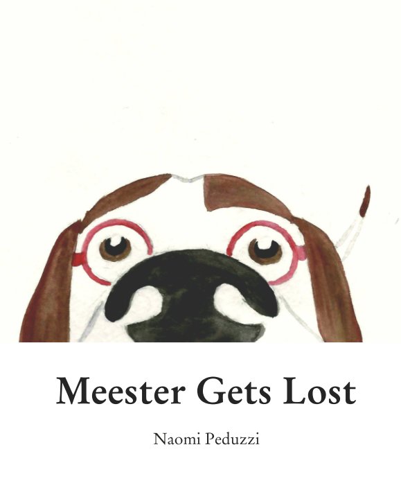 View Meester Gets Lost by Naomi Peduzzi