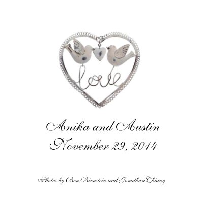 Anika and Austin November 29, 2014 book cover