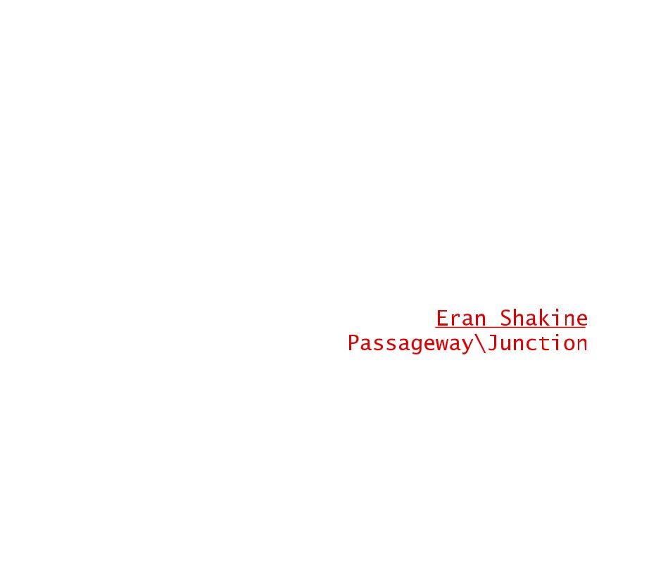 View Eran Shakine Passageway\Junction by erans
