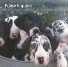 Praise Puppies book cover