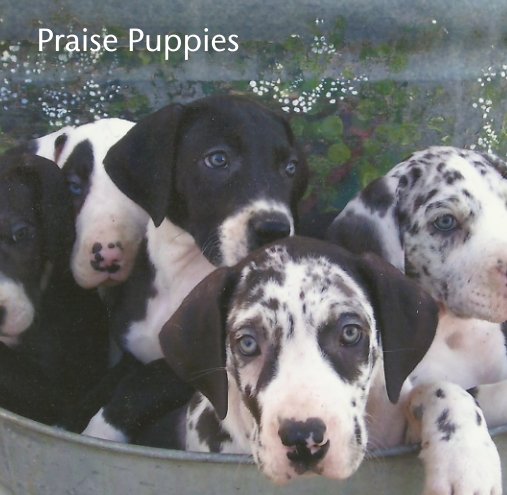 Visualizza Praise Puppies di Celeste Vander Ham