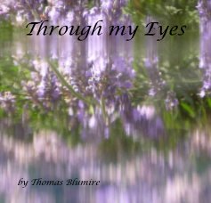 Through my Eyes book cover