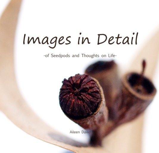 View Images in Detail -of Seedpods and Thoughts on Life- by Aileen David