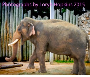 Photographs by Loryn Hopkins book cover