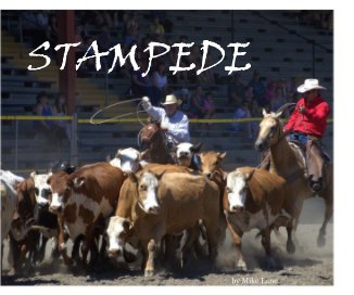 STAMPEDE book cover