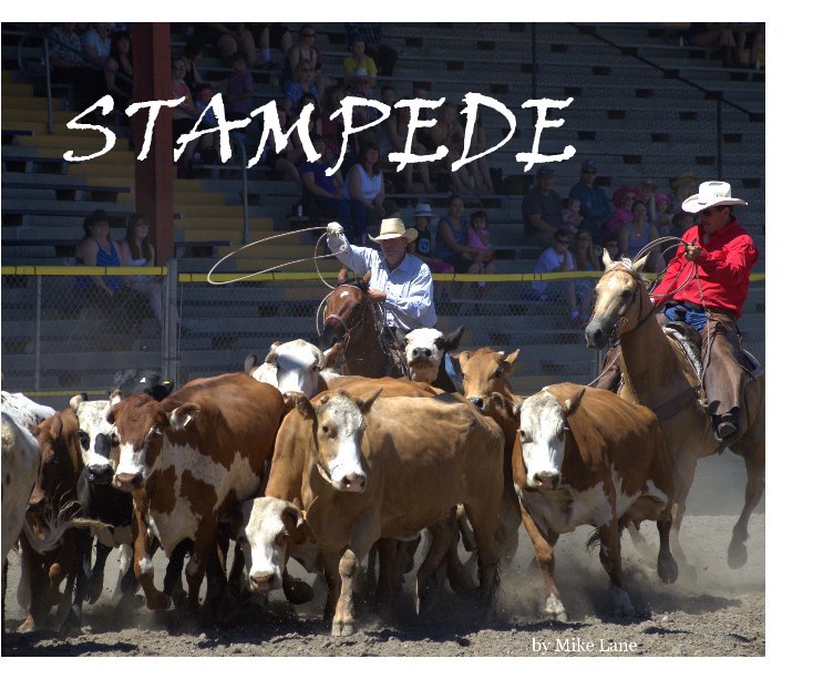 View STAMPEDE by Mike Lane