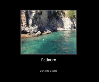 Palinuro book cover