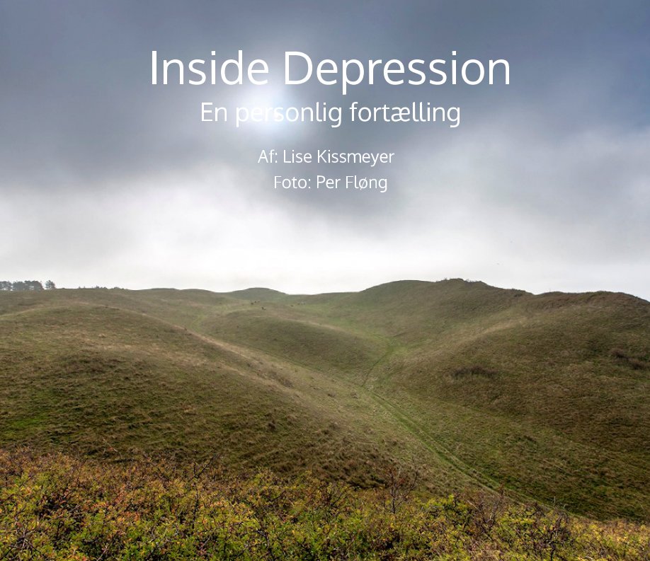 View Inside Depression by Lise Kissmeyer, Foto af Per Fløng