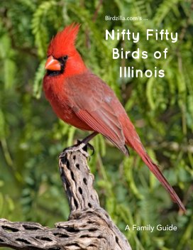 Nifty Fifty Birds of Illinois book cover