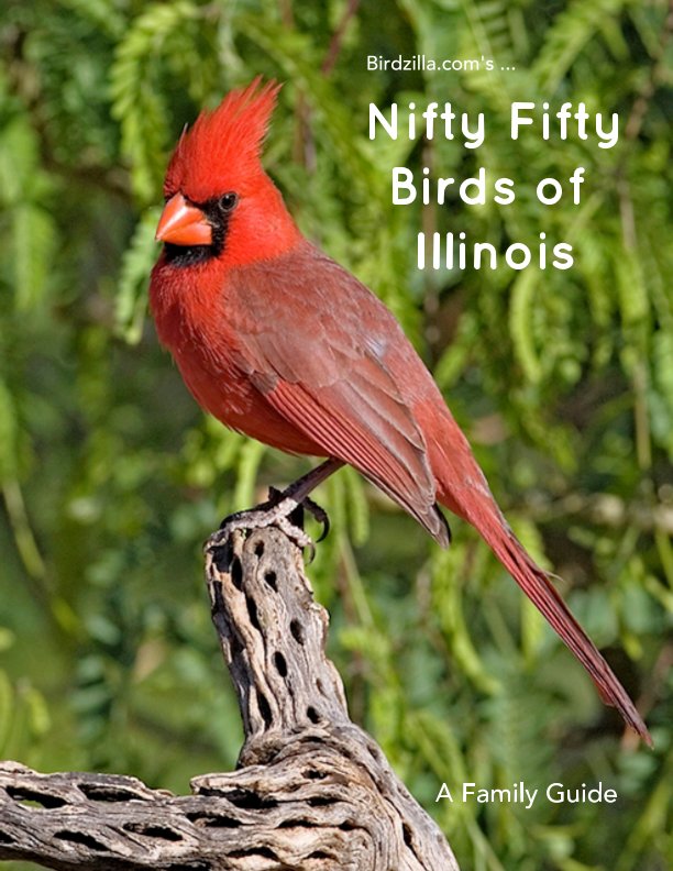 Ver Nifty Fifty Birds of Illinois por Sam Crowe