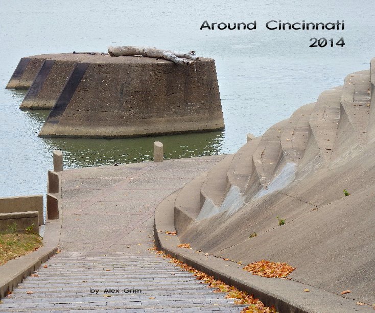 View Around Cincinnati 2014 by Alex Grim