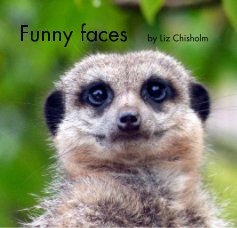 Funny faces book cover