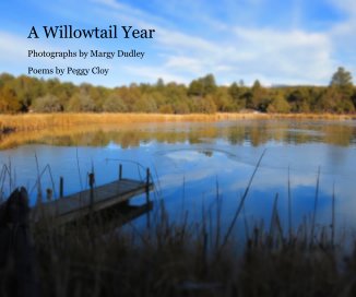 A Willowtail Year book cover
