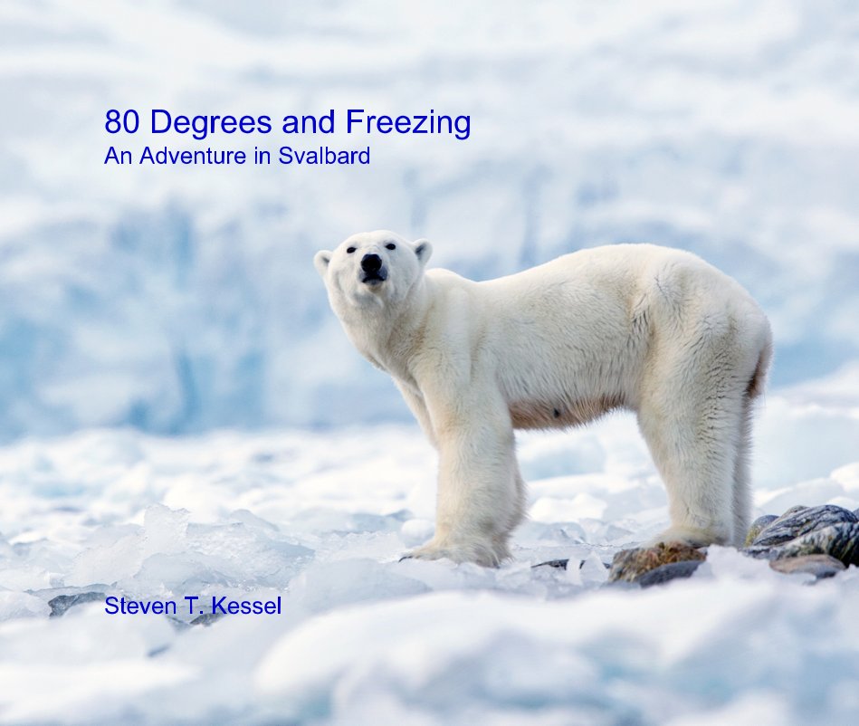 Ver Eighty Degrees and Freezing An Adventure in Svalbard por Steven T. Kessel