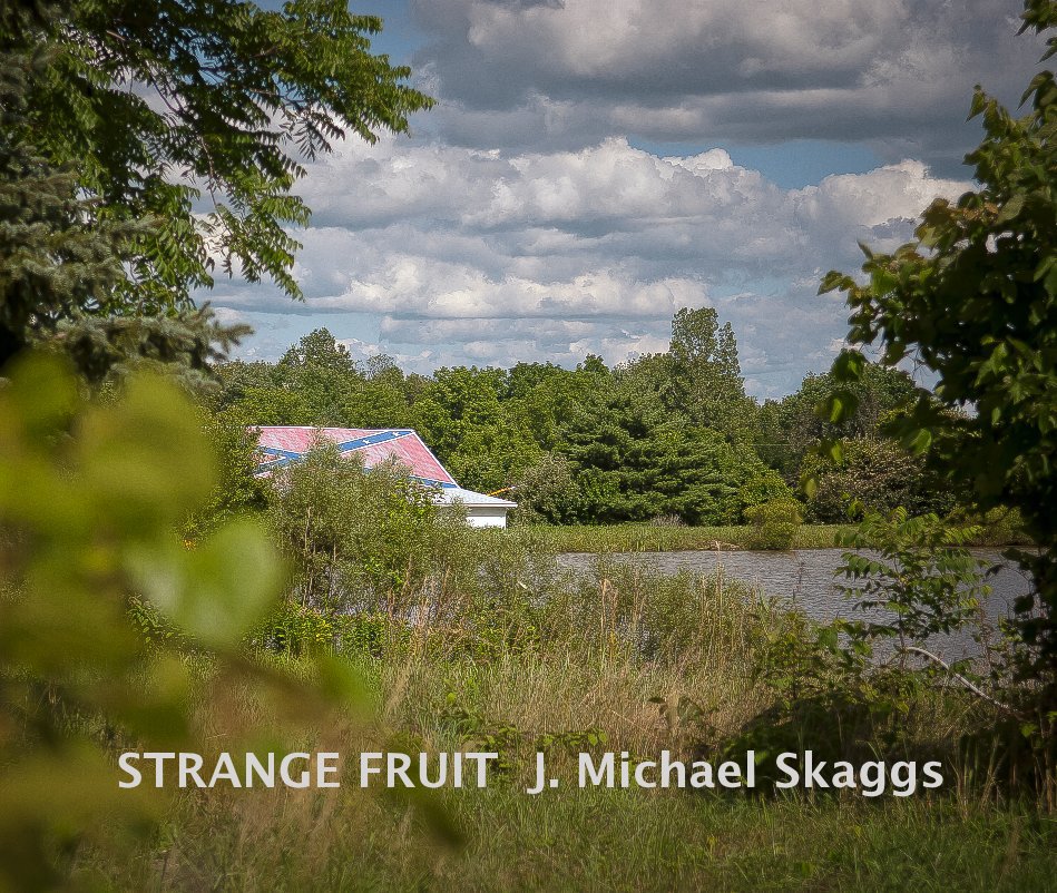 Visualizza STRANGE FRUIT J. Michael Skaggs di J. Michael Skaggs