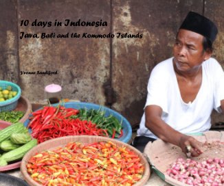 10 days in Indonesia book cover