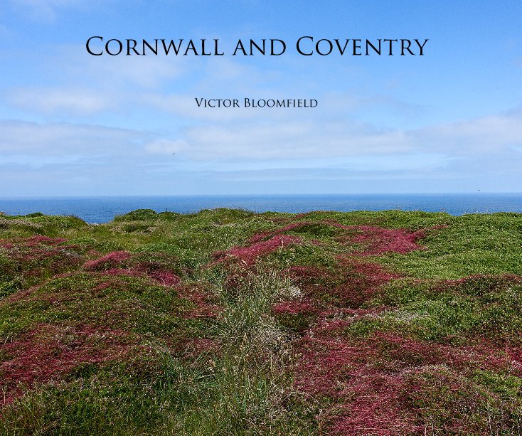 View Cornwall and Coventry by Victor Bloomfield