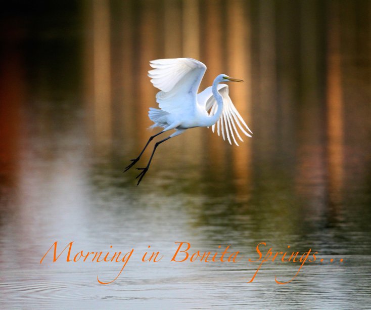 Bekijk Morning in Bonita Springs... op John Thawley