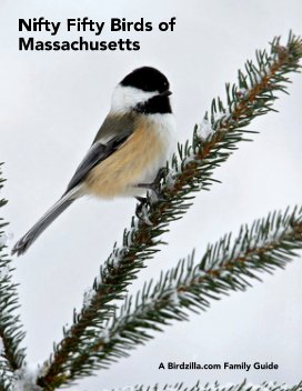 Nifty Fifty Birds of Massachusetts book cover
