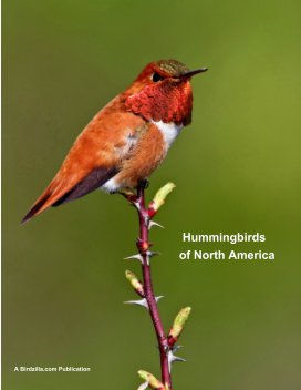 Hummingbirds of North America book cover