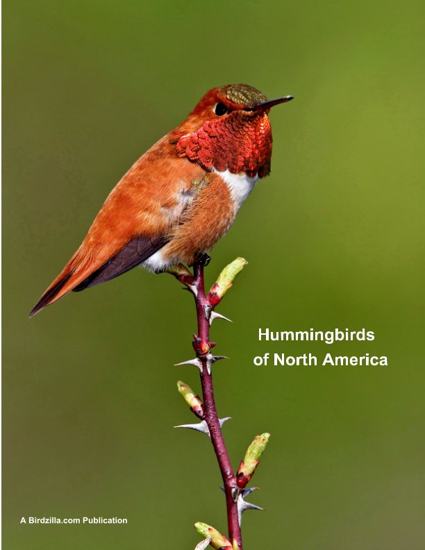 Ver Hummingbirds of North America por Sam Crowe