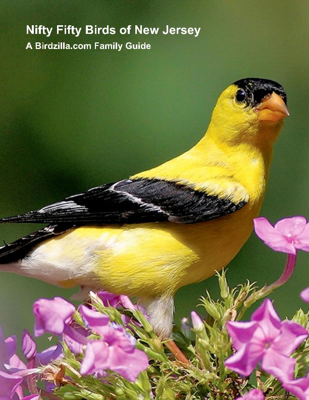 Ver Nifty Fifty Birds of New Jersey por Sam Crowe