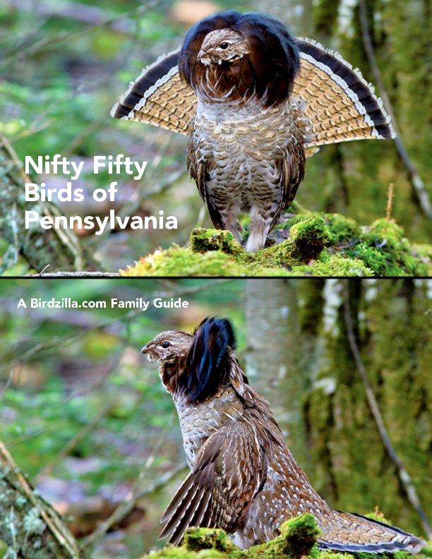 Visualizza Nifty Fifty Birds of Pennsylvania di Sam Crowe