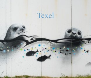 Texel book cover