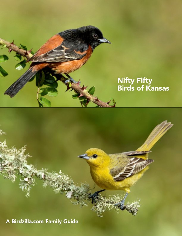 View Nifty Fifty Birds of Kansas by Sam Crowe