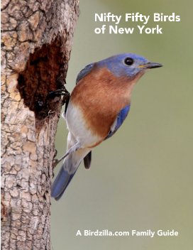 Nifty Fifty Birds of New York book cover